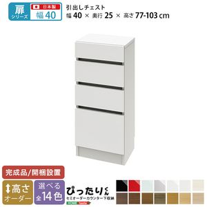 【ポイント4倍】【扉シリーズ】セミオーダーカウンター下収納ぴったりくん 引出しチェスト 奥行25cm[L][03]