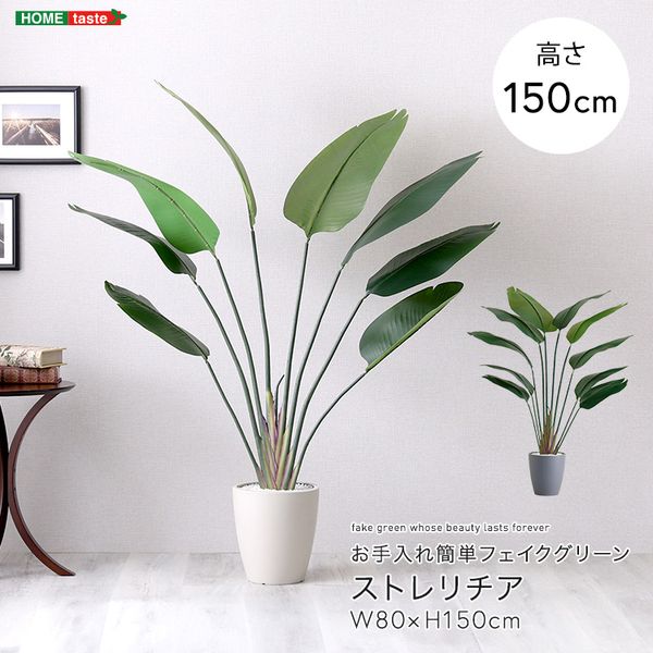 ���������ñ�ե��������꡼�󡡥��ȥ�������M������(150cm)[03]