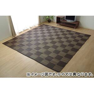 ラグ 洗える PPカーペット 『ウィード』 ブラウン 本間6畳（約286.5×382cm） 1090280061902 [13]