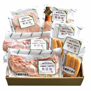 【ポイント4倍】2017年ドイツDLG国際コンテスト金賞受賞店 サイトウハム 厳選こだわりハム詰合せ ギフト 贈答 贈り物 SSR-50C【産直】[24]