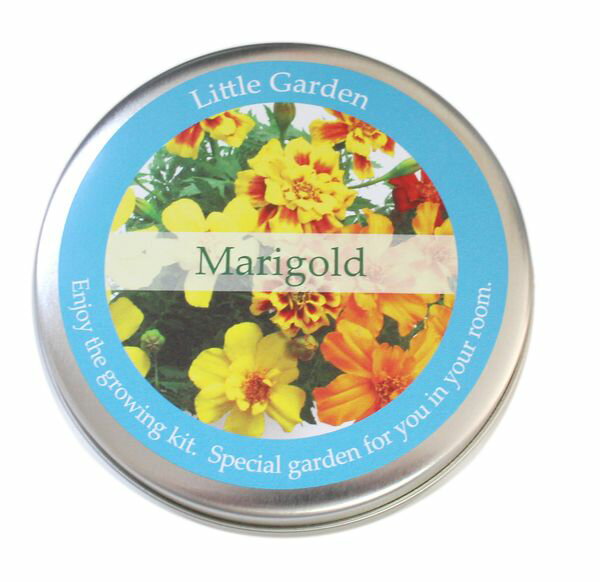 NEW��ȥ륬���ǥ󡡺��ݥ��åȡ����ݥ��åȡ�����Բġ�[02]