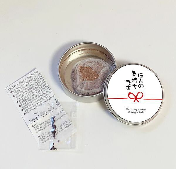 本家屋のプチギフトハーブ缶ラッピング付き【ありがとうの栽培キット】　栽培キット　栽培セット【代引不可】[02]｜アングル3