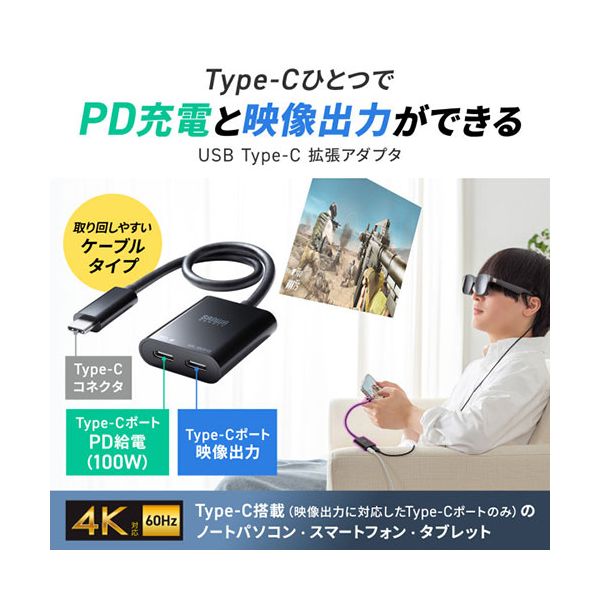 サンワサプライ USB Type-C 拡張アダプタ ケーブルタイプ PD対応 AD-ALCCPD02 21 honkeya-10901489 本家屋 サンプル画像2