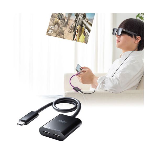 サンワサプライ USB Type-C 拡張アダプタ ケーブルタイプ PD対応 AD-ALCCPD02 21 honkeya-10901489 本家屋 サンプル画像3