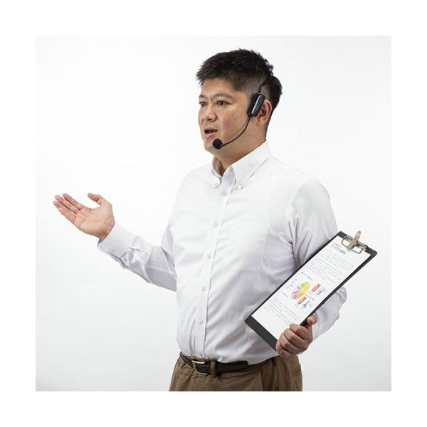 ロア・インターナショナル [BI9318] ワイヤレスイヤホン Beat-in Stick スペースグレー