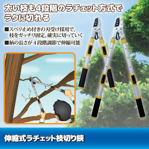 伸縮式ラチェット枝切りバサミ 長さ4段階調節可 アルミ合金製 フッ素加工刃 [21]