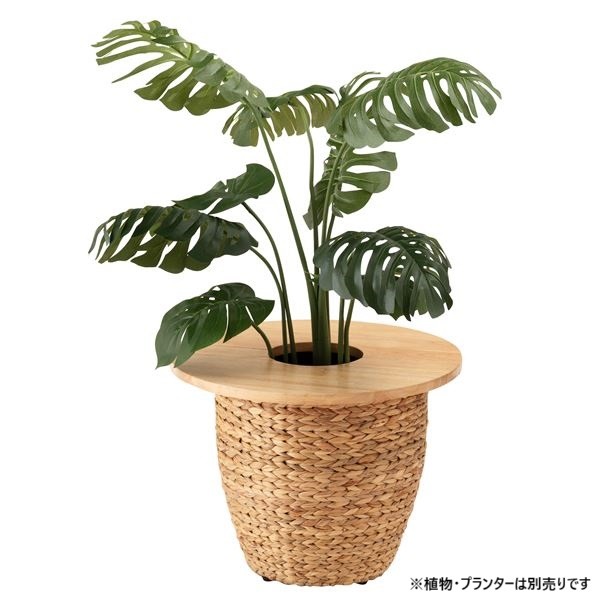 プランターテーブル 単品 円形 約幅50×奥行50×高さ1.8cm ナチュラル 木製 インテリア用品 園芸[21]