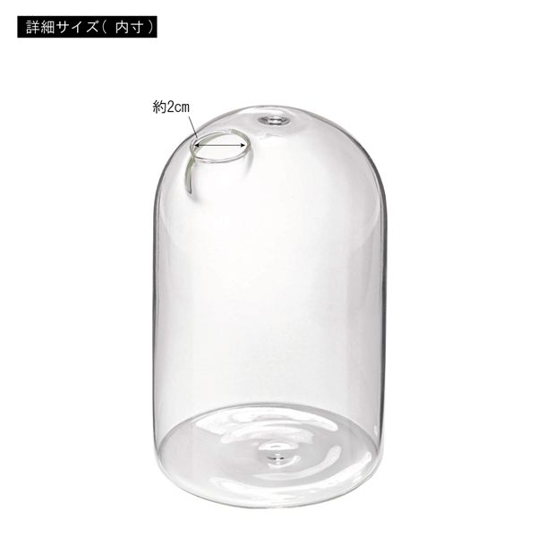 ガラスベース 約幅8×奥行8×高さ12.5cm クリア リビング ダイニング インテリア雑貨 インテリア用品 完成品[21] [3]