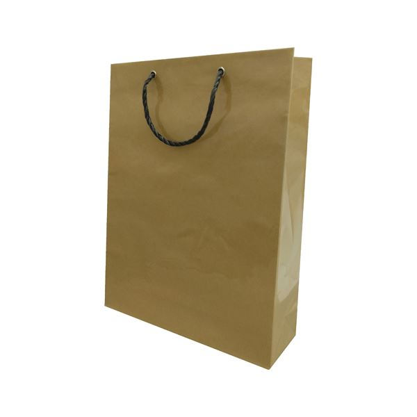 マツシロ 無地ビニールカバーバッグ クラフト 10枚 62MBC2[21]