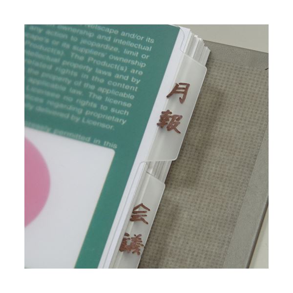 TANOSEE再生ダブルインデックス(ハードタイプ) A4タテ 2穴 10山 クリア 1セット(20組)[21]