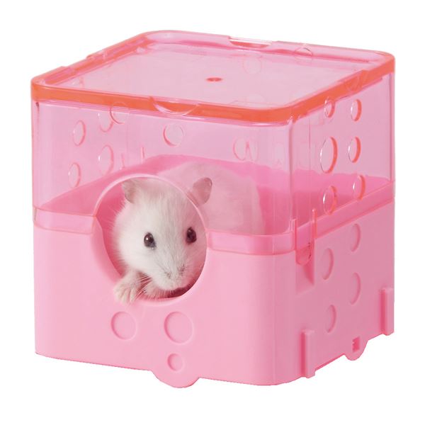 本家屋の（まとめ）ジャンガリアンのブロックトイレ【×5セット】 (小動物用品/トイレ・砂・シーツ)【代引不可】[21]｜アングル2