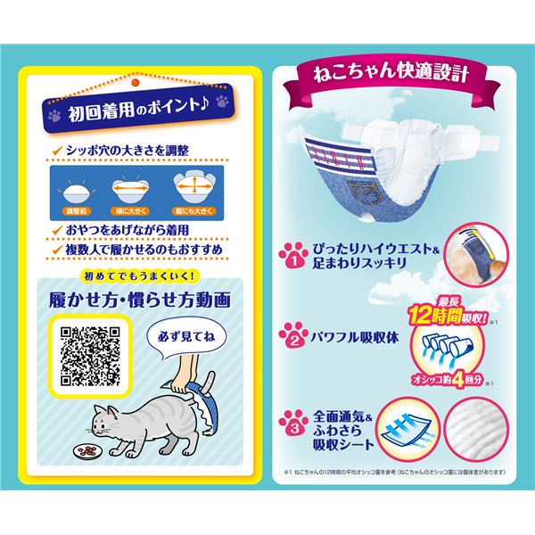 本家屋の（まとめ）マナーウェア ねこ用Lサイズ 12枚入 【×2セット】【代引不可】[21]｜アングル2