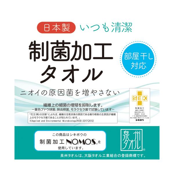 （まとめ） 林 ノモス加工ピュアボーダー フェイスタオル ブルー FN200151 1パック（2枚） 【×5セット】[21]