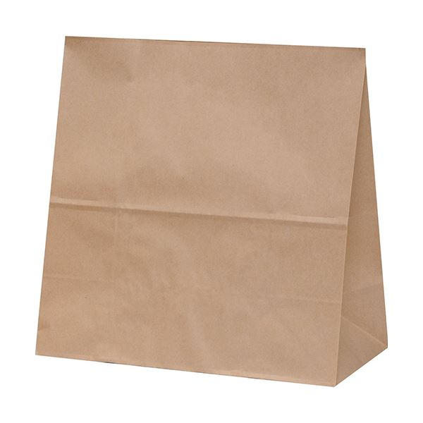 パックタケヤマ角底袋 未晒 無地 H1000 XZT00397 1パック（100枚）[21]