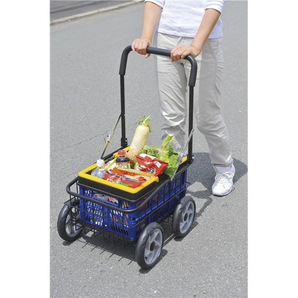 カゴ付きラクラクカート【代引不可】[21]