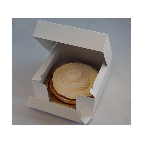 本家屋の白いティラミス 2台 (直径約12cm)【代引不可】[21]｜アングル3