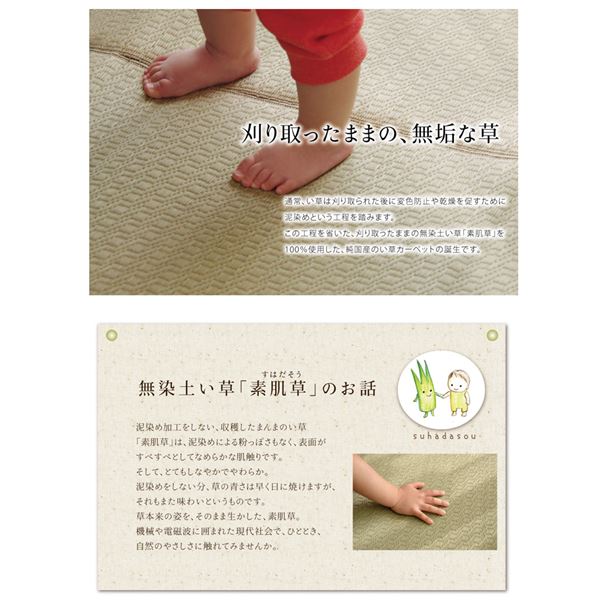 い草 ラグマット/絨毯 【約140×200cm 麻】 日本製 無染土 裏地ウレタン 調湿 弾力性 耐久性 〔リビング ダイニング〕【代引不可】[21] [3]
