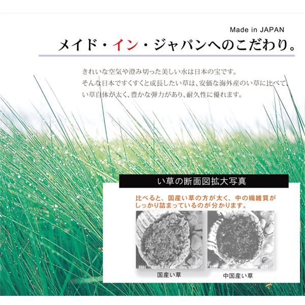 日本製 い草 ラグマット 【オリエンタル柄 ブラウン 約191×191cm】 抗菌 防臭 調湿機能付 〔リビング ダイニング〕【代引不可】[21] [3]