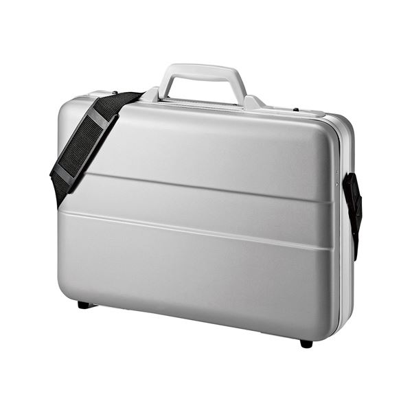 サンワサプライ ABSハードPCケース BAG-ABS5N2[21]