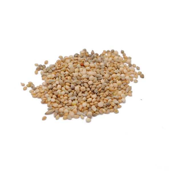 �ʤޤȤ�˥ڥåȥץ� ��Ļ�Τ��Ϥ� ���� 2kg�ڡ�6���åȡۡ�����Բġ�[21]