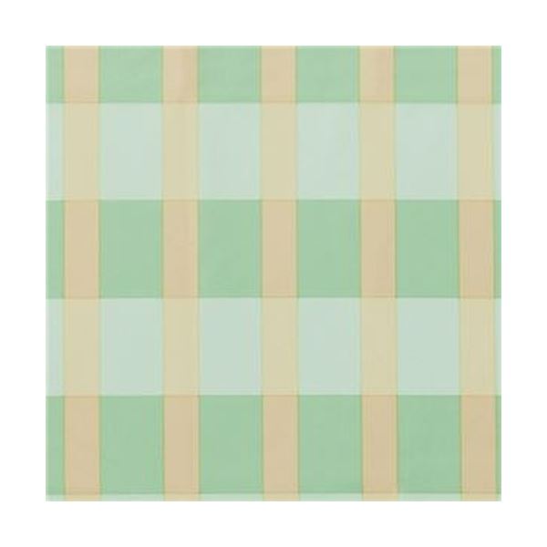 （まとめ）竹虎 ソフラピレンエプロンボーダーチェック グリーン 1枚【×20セット】...