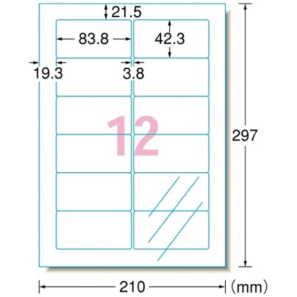 エーワン レーザーラベル 31581 透明タイプ A4 12面10枚[21](2)