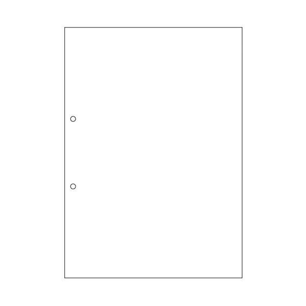 TANOSEEマルチプリンタ帳票(FSC森林認証紙) A4白紙 2穴 1セット(1000枚:500枚×2箱)[21]