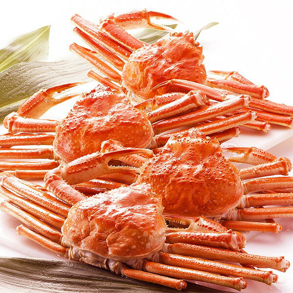 【身入り抜群のA級品！】カナダ産ボイルズワイガニ姿・約750g×4尾 冷凍ズワイ蟹【代引不可】[21]