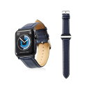 GR Apple Watch 42mm/\tgU[oh/Eh{[g^Cv/lCr[ AW-42BDLRBBU[21]