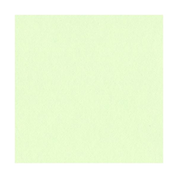 リンテック ニューカラーR 四つ切 メロン 4NCR-133 1パック(100枚)[21]