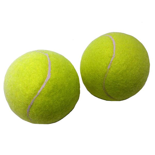 （まとめ）硬式テニスボール 2P【×2個セット】 [21]