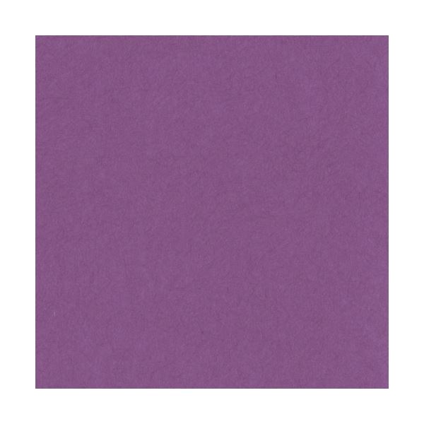 リンテック ニューカラーR 四つ切 むらさき 4NCR-241 1パック(100枚)[21]