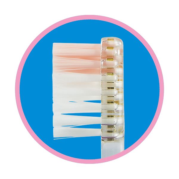 （まとめ）エビス メディフィット ハブラシ ふつう B-188 1セット（12本） 【×5セット】[21]