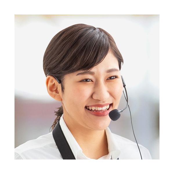 サンワサプライ ヘッドマイク(MM-SPAMP9交換用) MM-SPAMP9HM[21]