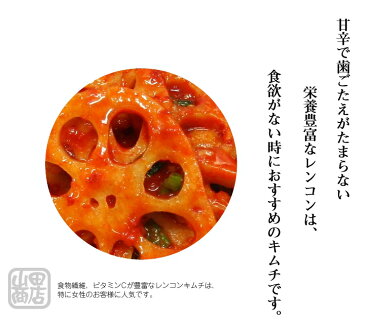 レンコンキムチ350g【大阪 生野 コリアタウン キムチの老舗 山田商店】【ビール・お酒のおつまみに ご当地グルメ】