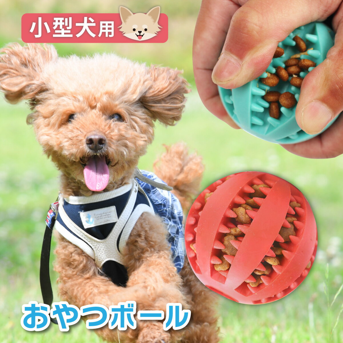 イヌ おもちゃ おやつ ボール ドッグフード シリコン 歯磨き 犬 ペット