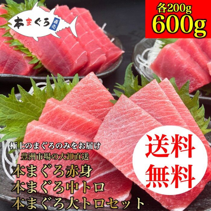 本まぐろ赤身、中トロ、大トロセット 600g(各200g) 海鮮贅沢 ごちそう お歳暮 （天然まぐろ 天然 マグロ まぐろ 鮪 刺身 刺し身 海鮮丼 手巻き寿司 トロ 切り身 まぐろ切り落し 送料無料 贈り物 プレゼント