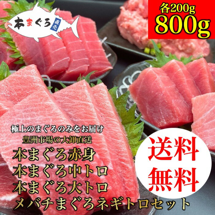 【敬老の日】本まぐろ赤身、中トロ、大トロ、ネギトロセット 800g(各200g) 海鮮贅沢 ギフト ごちそう お歳暮（天然まぐろ 天然 マグロ まぐろ 鮪 刺身 刺し身 海鮮丼 手巻き寿司 トロ 切り身 まぐろ切り落し 送料無料