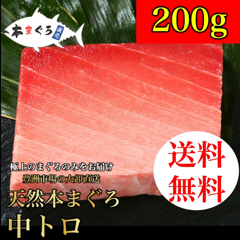 天然本まぐろ中トロ柵 200g ギフト ごちそう お歳暮 （...