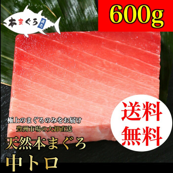 【C】天然本まぐろ中トロ柵 600g ギフト お歳暮 年末年始　（天然まぐろ 天然 マグロ まぐろ 鮪 刺身 刺し身 海鮮丼 トロ 切り身 まぐろ切り落し 送料無料 贈り物 御祝 内祝 ギフト ファミリー 家族用 食品 中トロ ）