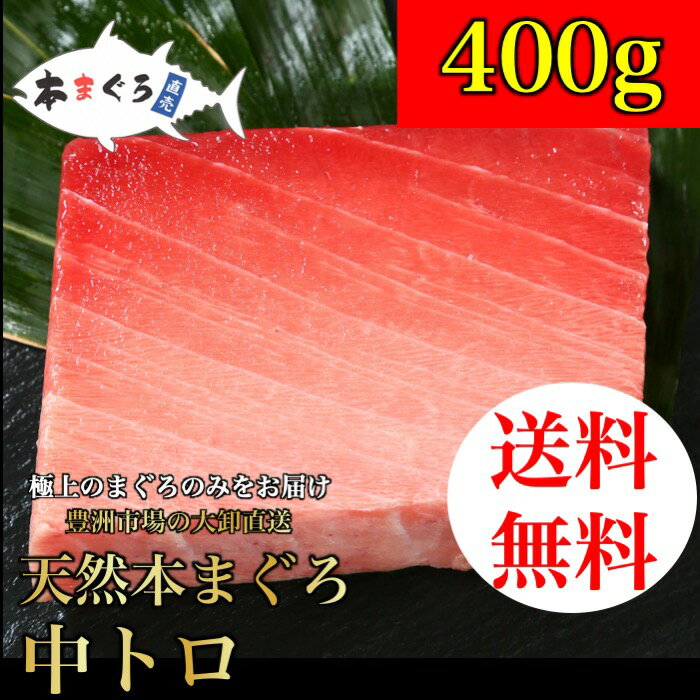 【まぐろフェア】【送料無料】天然本まぐろ中トロ柵 400g　（天然まぐろ 天然 マグロ まぐろ 鮪 刺身 刺し身 海鮮丼 手巻き寿司 トロ 切り身 まぐろ切り落し 送料無料 贈り物 プレゼント 御祝 内祝 ギフト ファミリー 家族用 業務用 食品 おかず 中トロ お取り寄せ 贈答）