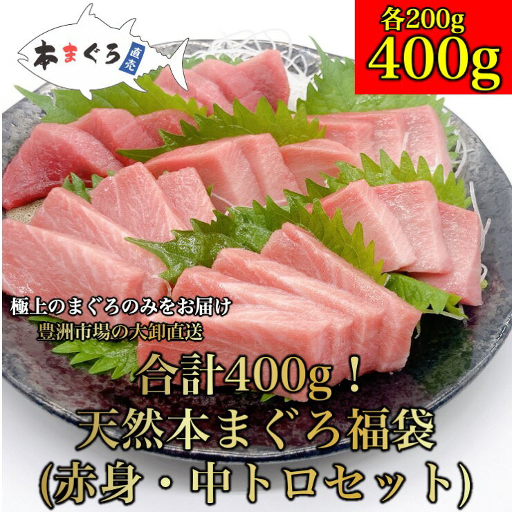 【父の日】【A】本まぐろ福袋400g!プロが目利きした極上まぐろ！（赤身・中トロセット 合計400g）母の日 天然まぐろ 天然 マグロ まぐろ 鮪 刺身 刺し身 海鮮丼 手巻き寿司 トロ 切り身 贈り物 御祝 内祝 ギフト