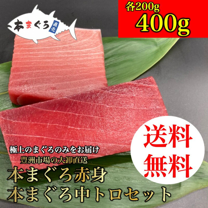 【父の日】●本まぐろ赤身・中トロセット　400g　（天然まぐろ 天然 マグロ まぐろ 鮪 刺身 刺し身 海鮮丼 手巻き寿司 トロ 切り身 まぐろ切り落し 送料無料 おつまみ 贈り物 プレゼント 御祝 内祝 ギフト ファミリー 家族用 業務用 食品 おかず 中トロ お取り寄せ 赤身）