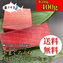 ●本まぐろ赤身・中トロセット　400g　（天然まぐろ 天然 マグロ まぐろ 鮪 刺身 刺し身 海鮮丼 手巻き寿司 トロ 切り身 まぐろ切り落し 送料無料 おつまみ 贈り物 プレゼント 御祝 内祝 ギフト ファミリー 家族用 業務用 食品 おかず 中トロ お取り寄せ 赤身）