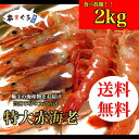 【年末】【送料無料】特大！極上の赤海老　2kg