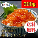 【年末】【送料無料】味が違う！食感が違う！極上！いくら　500g