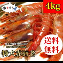 特大！極上の赤海老　4kg