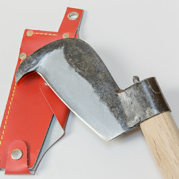 �ݥҥ��� ������380g���� �������դ�(�ʥ� �Ĥ��Ǥ� ��ʧ�� �ų� ����ƻ��)