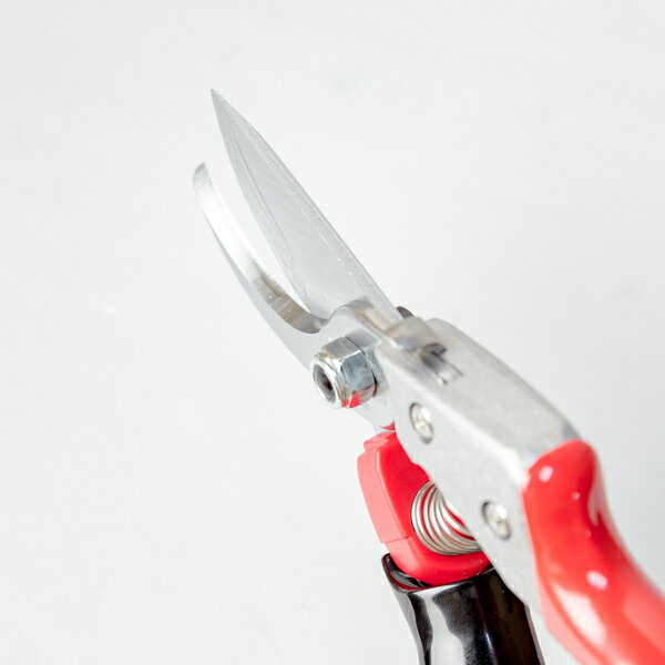 ������ 200mm �֥����� ������ �������꡼ VS-8R ��� �ڱ� ����� �ڥ���_ ����Ф���