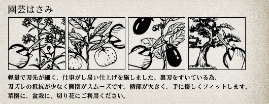 �ɥ�����ڱ��� DK-630 ��ݤФ��� �����ǥ˥�